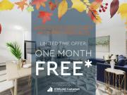 1 Bedroom Apartment Toronto ON 96738174