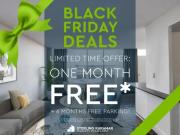 1 Bedroom Apartment Toronto ON 96738181