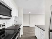 1 Bedroom Apartment Toronto ON 97190115