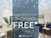 1 Bedroom Apartment Toronto ON 97702990