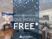 1 Bedroom Apartment Toronto ON 97742262