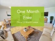 1 Bedroom Apartment Toronto ON 98311034