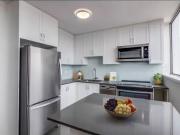 1 Bedroom Apartment Toronto ON 98747028