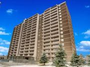 1 Bedroom Apartment Toronto ON LS83125244