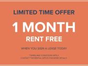 1 Bedroom Apartment Vancouver BC 94984531