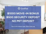 1 Bedroom Apartment Vancouver BC 95516451