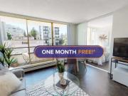 1 Bedroom Apartment Vancouver BC 96908337