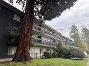 1 Bedroom Apartment Vancouver BC 98670797