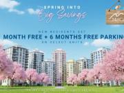 1 Bedroom Apartment Vancouver BC 99824127