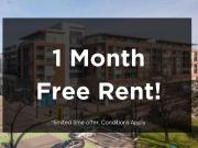 1 Bedroom Apartment Victoria BC 92293245
