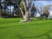 1 Bedroom Apartment Victoria BC 96338298