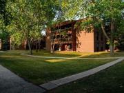 1 Bedroom Apartment Winnipeg MB 96585679