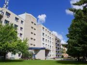 1 Bedroom Apartment Winnipeg MB 96586091