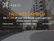 1 Bedroom Apartment Winnipeg MB 97026152