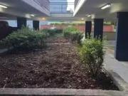 1 Bedroom Blue Ridge