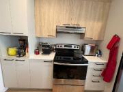 1 Bedroom Condo for Rent at 110 Rue Nancy Elliott #405,...