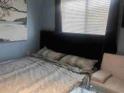 1 Bedroom Condo for Rent at 1410 Collegiate Cir,...