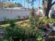 1 Bedroom Condo for Rent at 4141 Lake Lawne Ave #4139,...