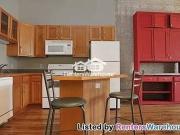 1 Bedroom Condo for Rent at 523 Jackson St #201, St....