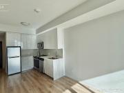1 Bedroom Condo for Rent at 60 Frederick Street,...