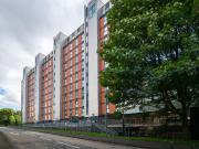 1 bedroom flat for rent in 2/ 503 Stobcross Street,...