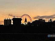 1 Bedroom Flat For Rent In London