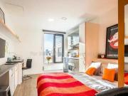 1 Bedroom Flat For Rent In Matilda Street, Sheffield