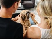 1 bedroom flat for rent in One Lampton, Road, Hounslow,...