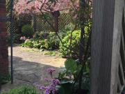 1 Bedroom Flat House to Rent