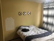 1 bedroom flat in arcadia