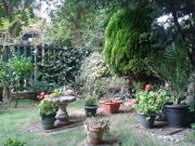 1 Bedroom Flat Private Let