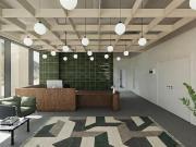 1 bedroom flat share to rent