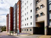 1 bedroom flat share to rent