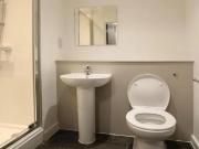 1 bedroom flat share to rent