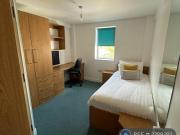 1 bedroom flat share to rent