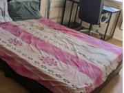1 bedroom flat share to rent