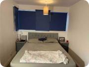 1 bedroom flat share to rent
