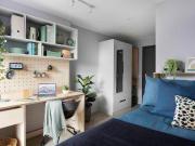 1 bedroom flat share to rent