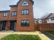 1 bedroom flat share to rent