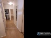 1 bedroom flat share to rent