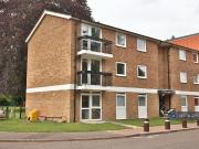 1 bedroom flat share to rent