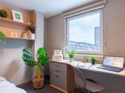 1 bedroom flat share to rent