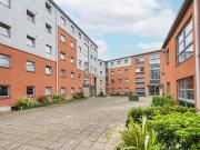 1 bedroom flat share to rent