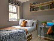 1 bedroom flat share to rent