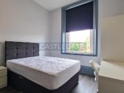 1 bedroom flat share to rent