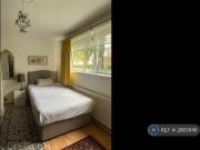 1 bedroom flat share to rent