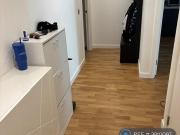 1 bedroom flat share to rent