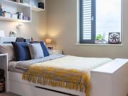 1 bedroom flat share to rent