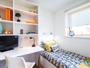 1 bedroom flat share to rent