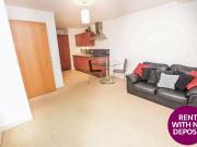 1 bedroom flat to rent